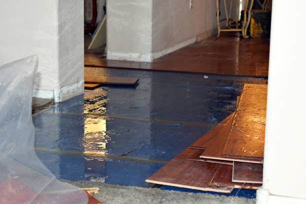 Professional Flood Cleanup technician working in Holcomb, IL